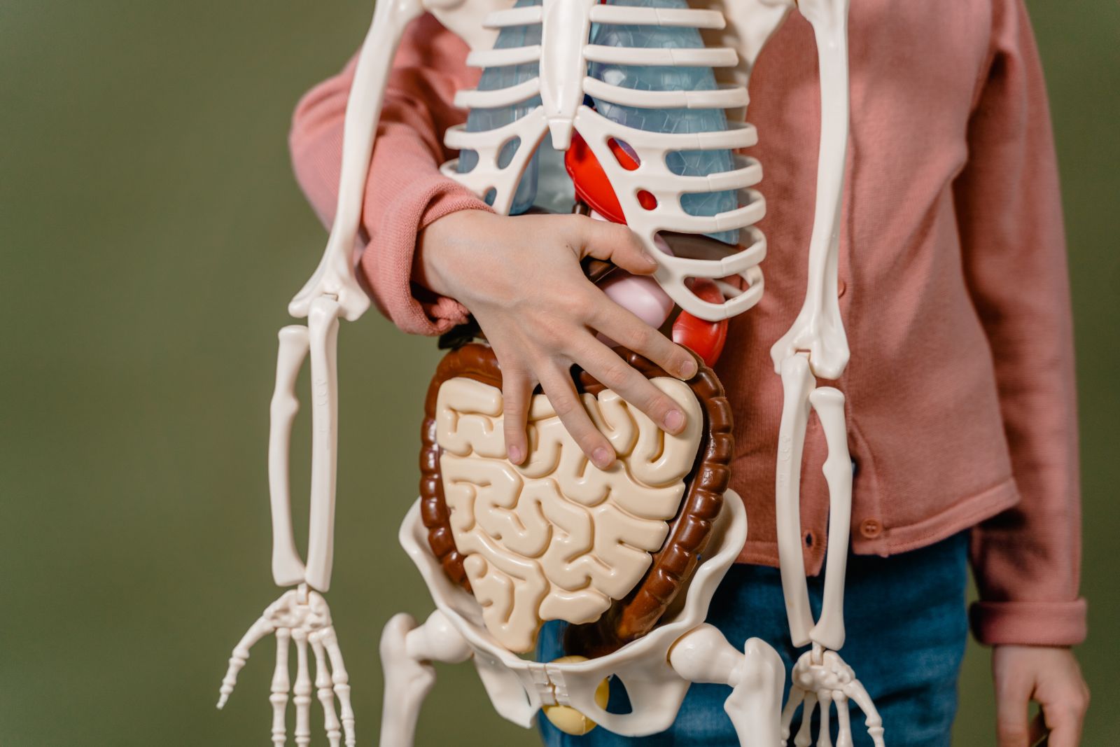 Epigenetik Alternativmedizin